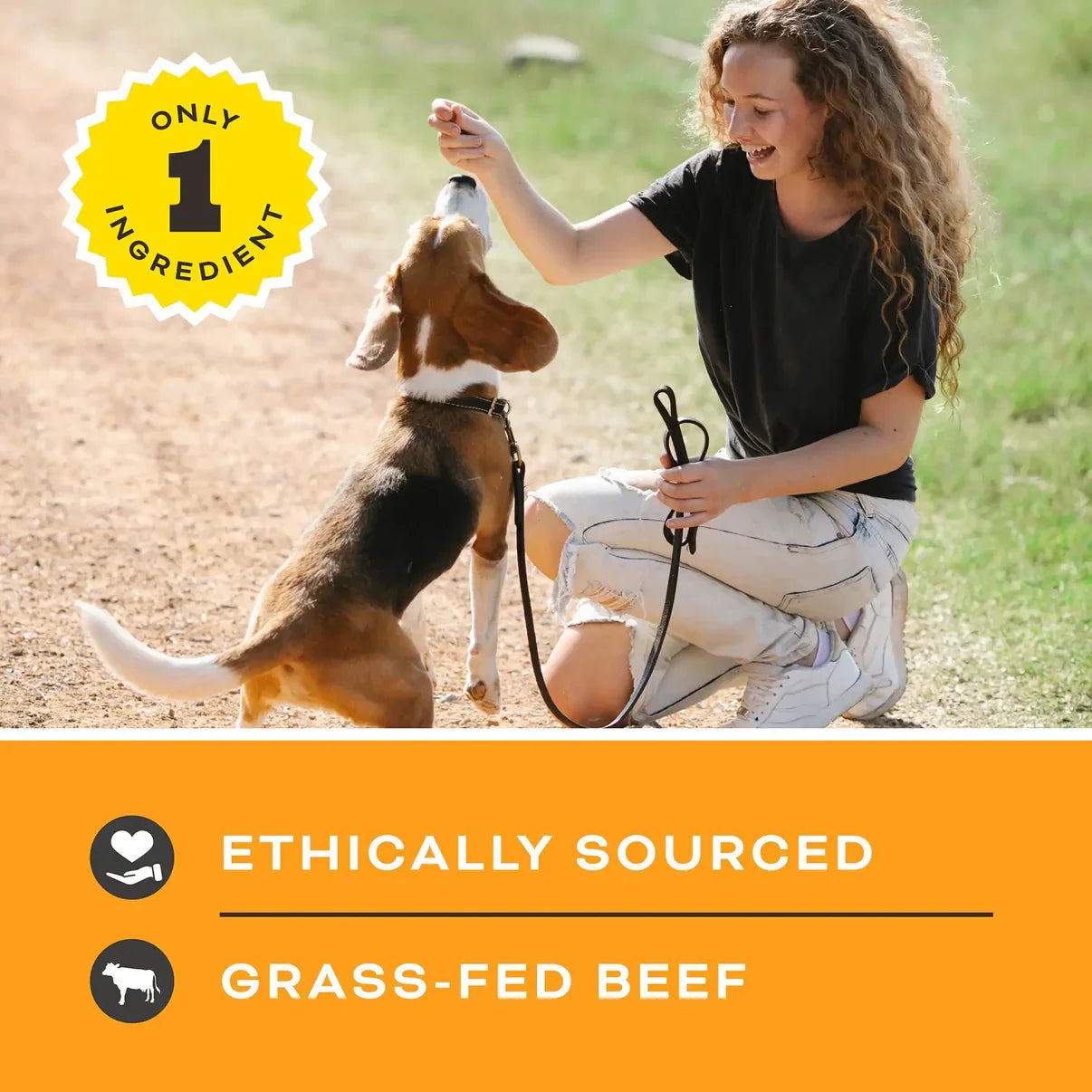 Primal Lets All Get A Lung  Beef Dehydrated Dog Treat 1.5oz
