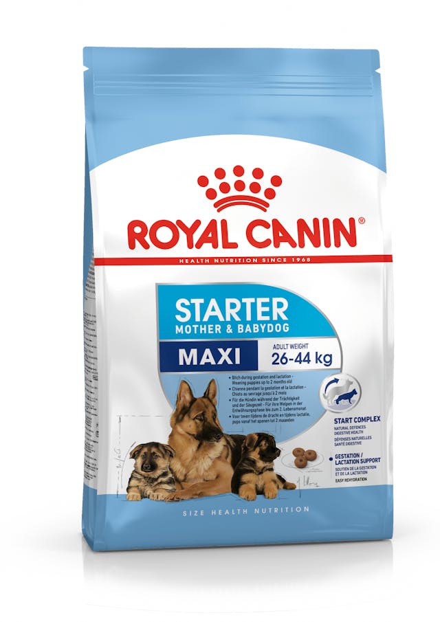Royal Canin Size Health Nutrition Maxi Starter Dry Dog Food