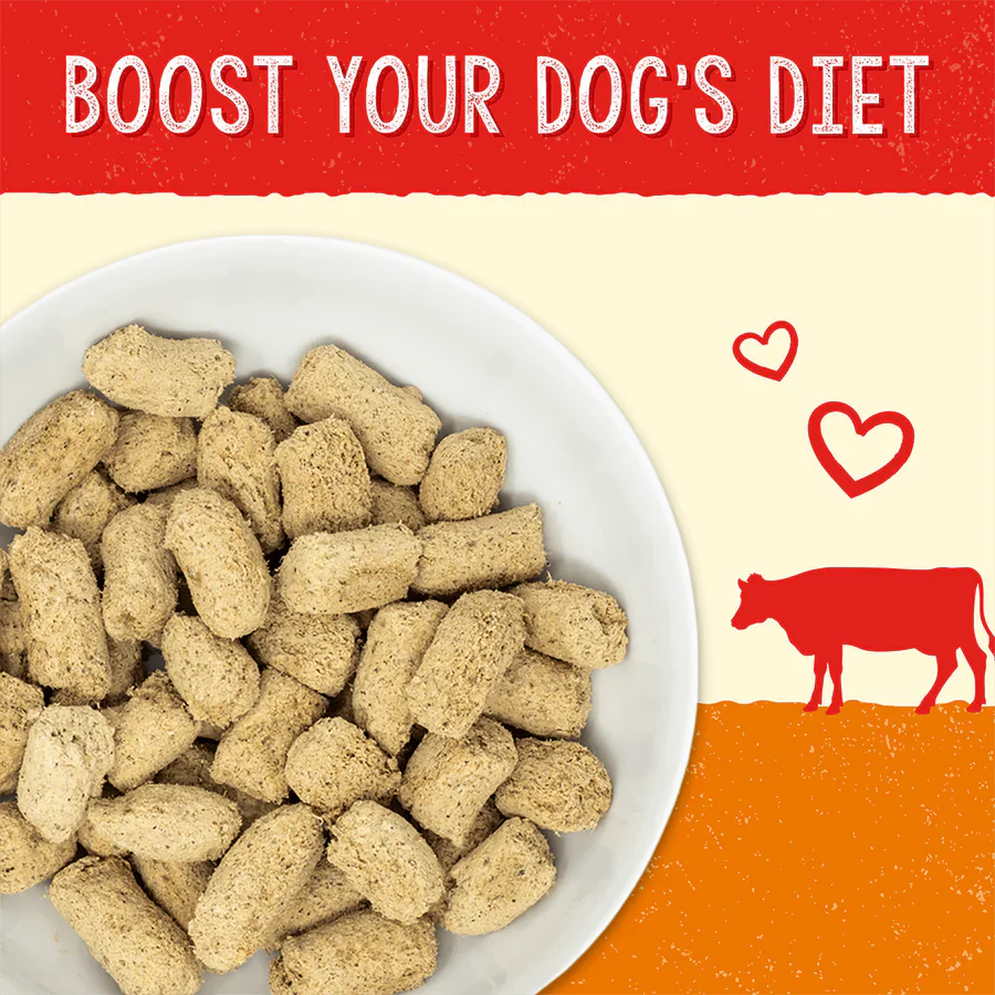 Stella & Chewys Digestive Boost Grass-Fed Beef Recipe 13 oz