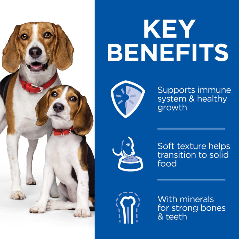 Hills Science Plan Puppy & Mother Mousse