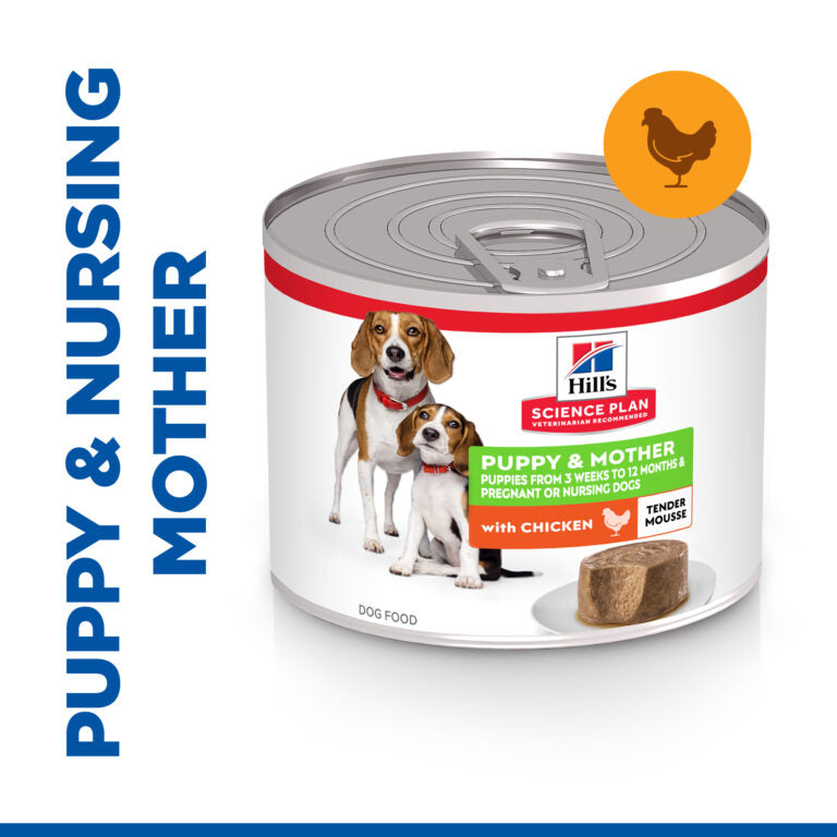Hills Science Plan Puppy & Mother Mousse