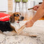 Stella & Chewy? Dog Dental Treats Delights Small