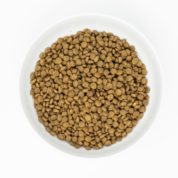 Stella & Chewys Cat Kibble - Raw Coated Cage Free Chicken Recipe for Kittens