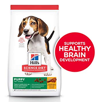 Hills Science Plan Medium Puppy Food with Chicken