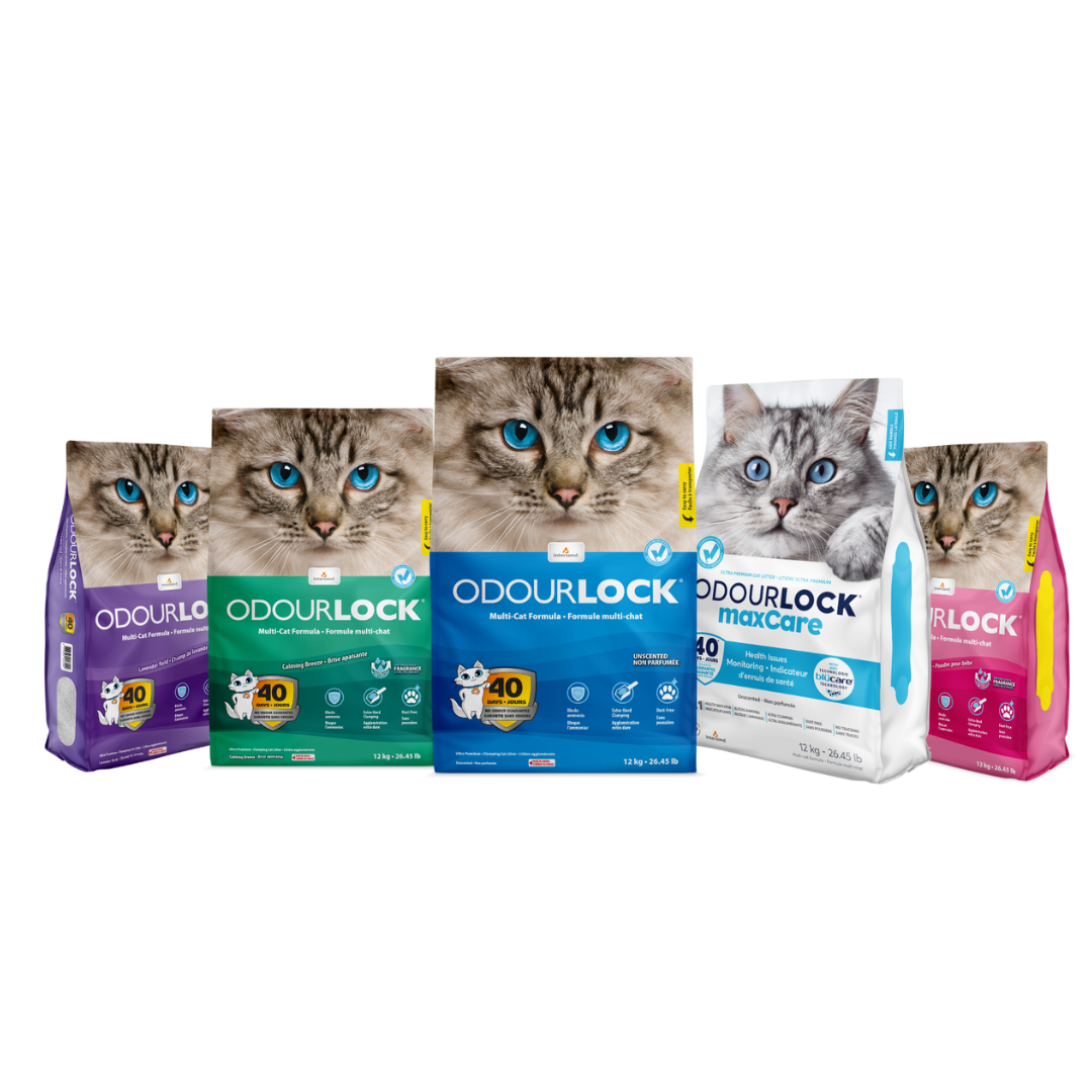 OdourLock Lavender - Ultra premium Multi-Cat formula Blocks ammonia, 99.9% Dust free