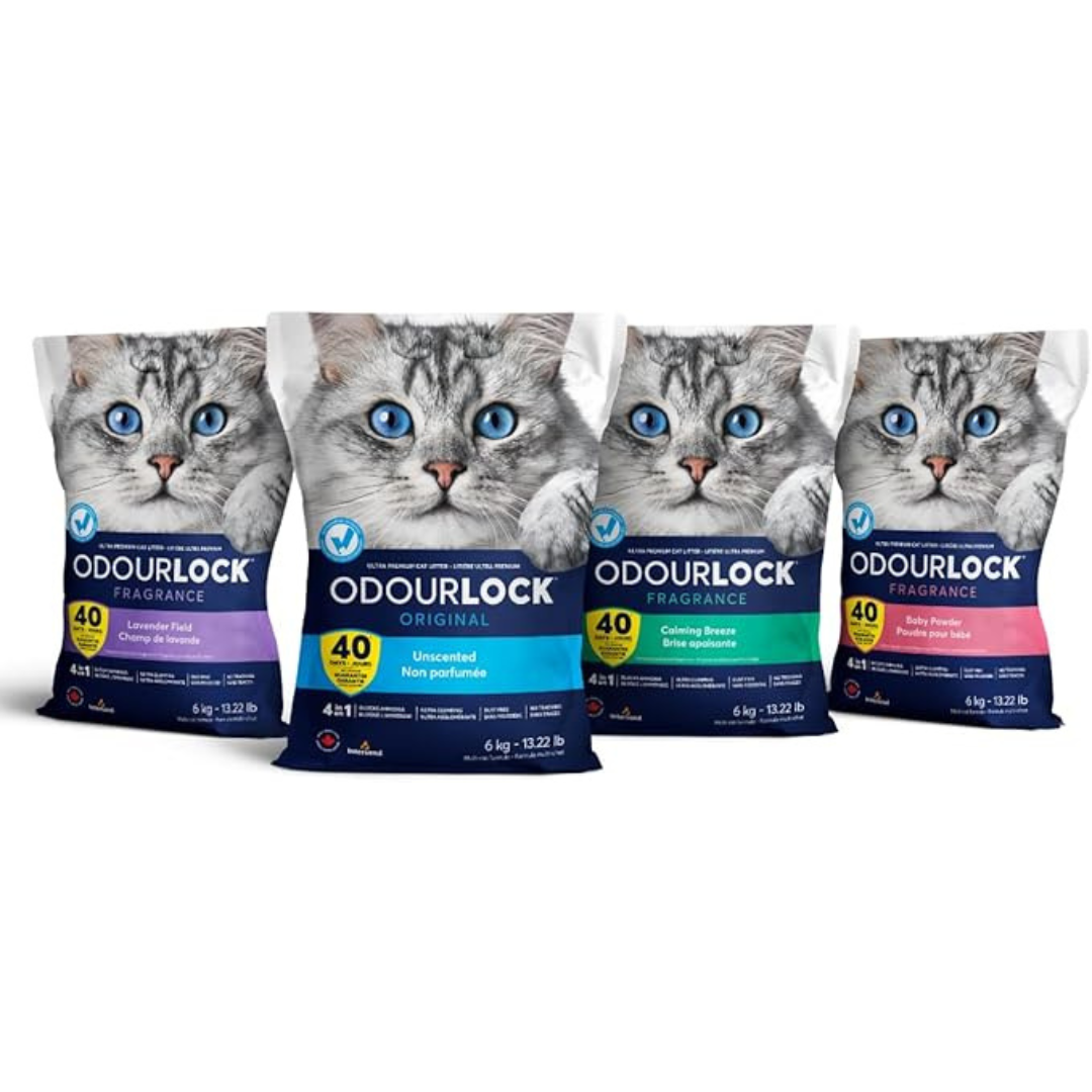 OdourLock Baby Powder Ultra premium Clumping Cat Litter Blocks ammonia, 99.9% Dust free
