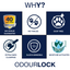 OdourLock Baby Powder Ultra premium Clumping Cat Litter Blocks ammonia, 99.9% Dust free