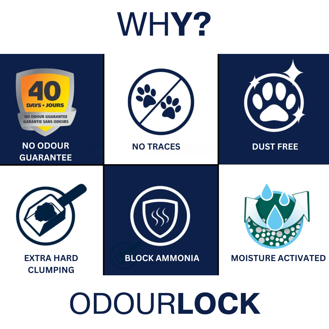 OdourLock Baby Powder Ultra premium Clumping Cat Litter Blocks ammonia, 99.9% Dust free