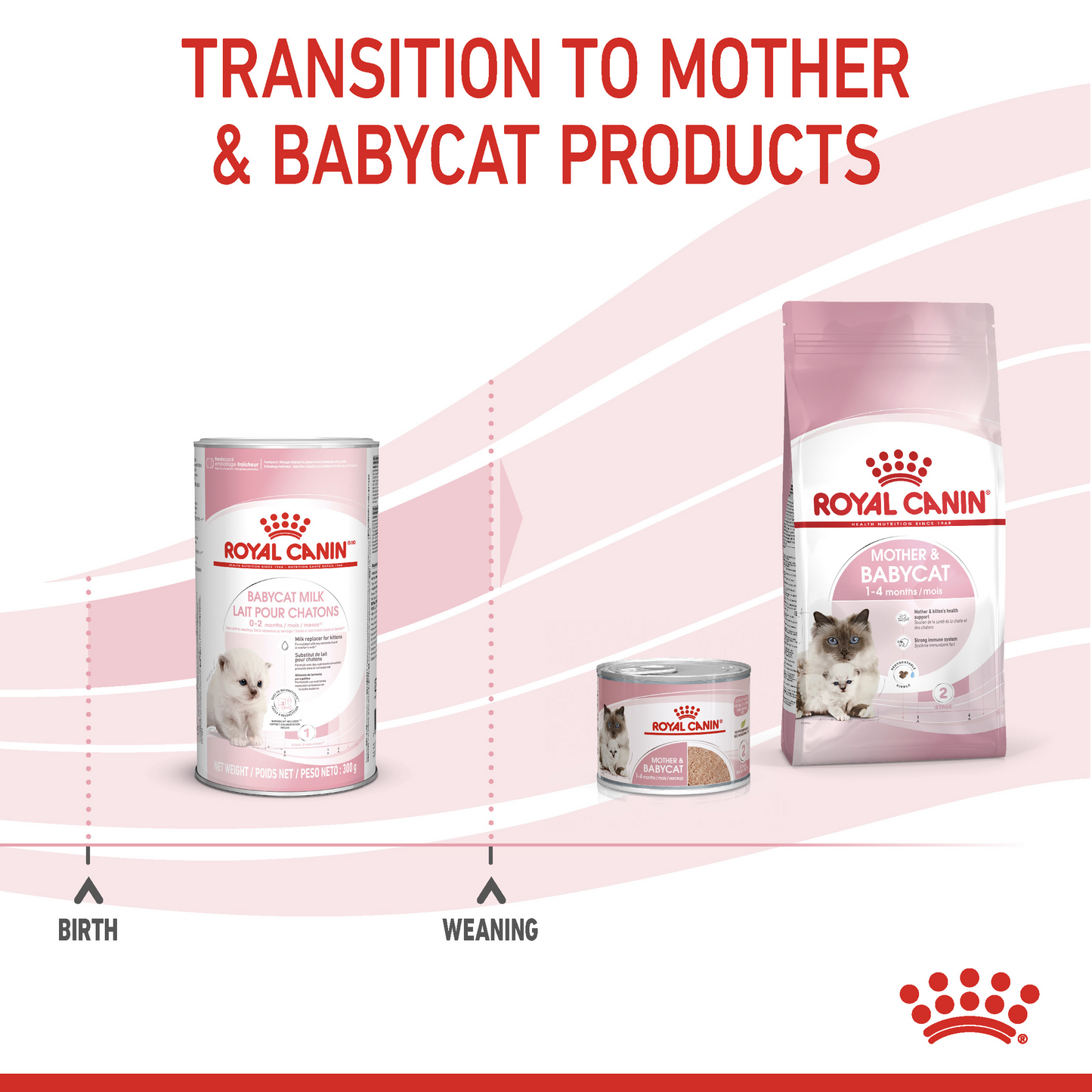 Royal Canin Feline Health Nutrition Babycat Milk Cat Wet Food 300 g