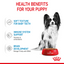Royal Canin Size Health Nutrition XS Puppy Dry Food 1.5 KG
