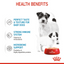 Royal Canin Canine Health Nutrition Starter Mousse Mother & Baby dog (Dog Wet Food - Cans)