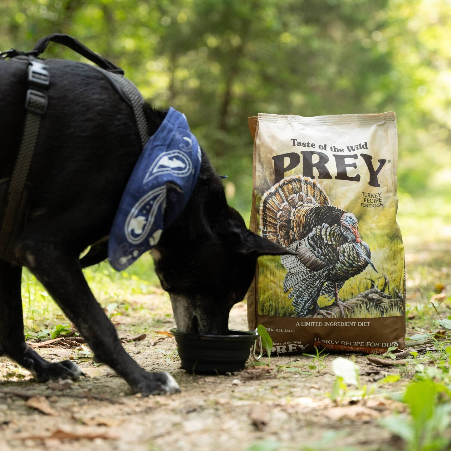 Taste Of Wild Prey Turkey Formula for Dog with Limited Ingredients