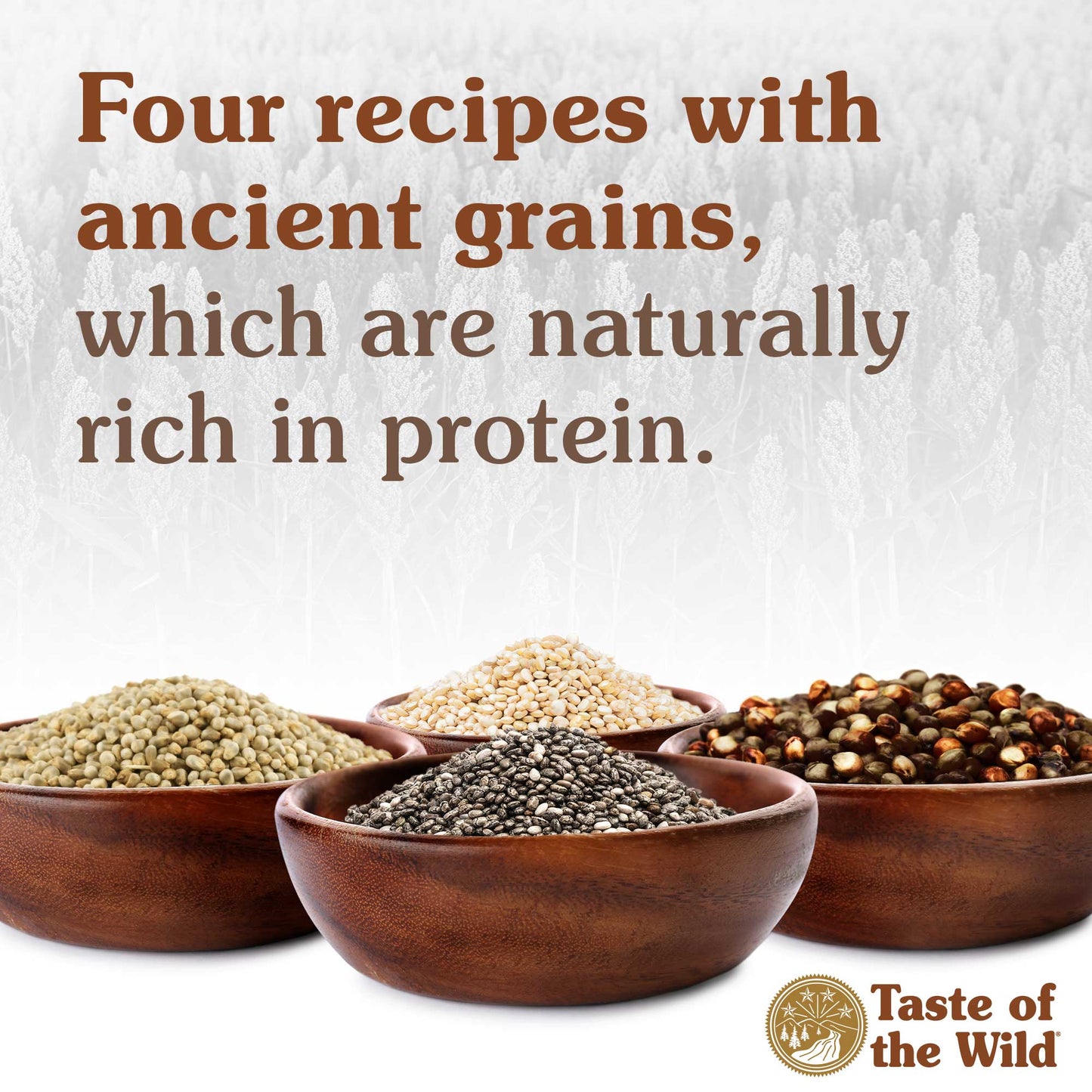 Taste Of Wild Ancient Mountain Canine Recipe - Lamb