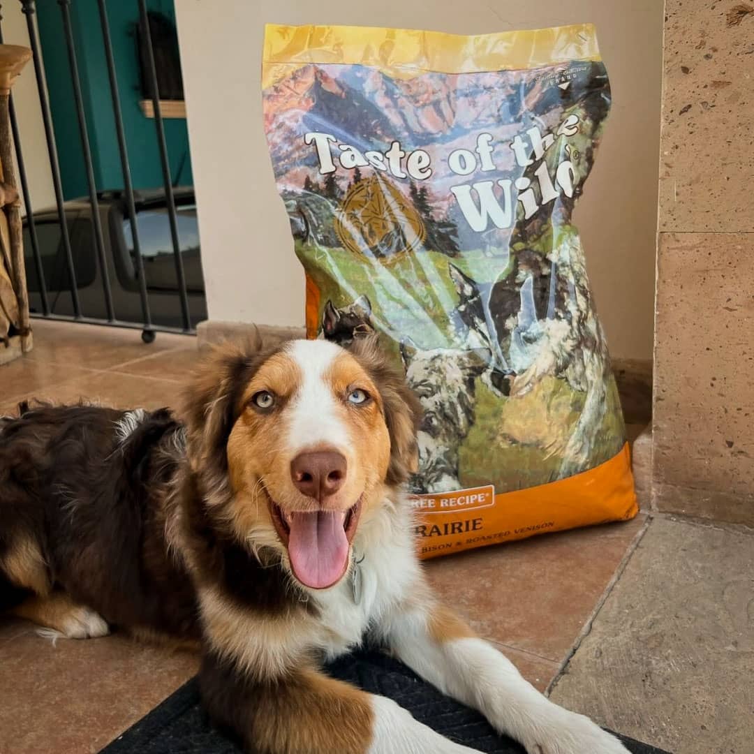 Taste Of Wild High prairie Puppy Recipe with Roasted Bison & Roasted Venison