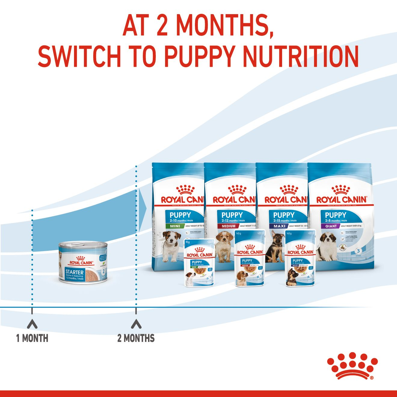 Royal Canin Canine Health Nutrition Starter Mousse Mother & Baby dog (Dog Wet Food - Cans)