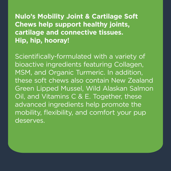Nulo Mobility Soft Chew Treat for Dogs - 270g (90 ct. Jar)