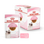 Royal Canin Feline Health Nutrition Kitten Gravy (Cat Wet Food - Pouches)