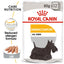 Royal Canin Canine Care Nutrition Dermacomfort (Dog Wet Food - Pouches)