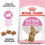 Royal Canin  Feline Health Nutrition Kitten Sterilised Dry Food 2 KG