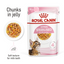 Royal Canin Feline Health Nutrition Kitten Sterilised Jelly (Cat WET FOOD - Pouches)