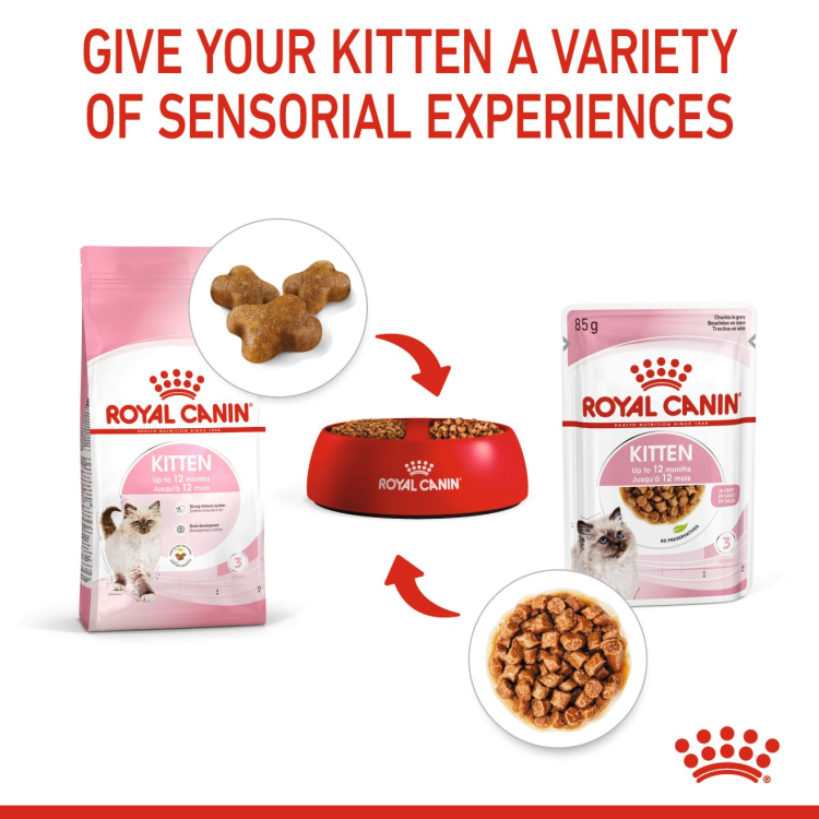 Royal Canin Feline Health Nutrition Kitten Gravy (Cat Wet Food - Pouches)