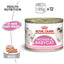 Royal Canin Feline Health Nutrition Mother & Babycat Mousse (Cat Wet Food - Cans)