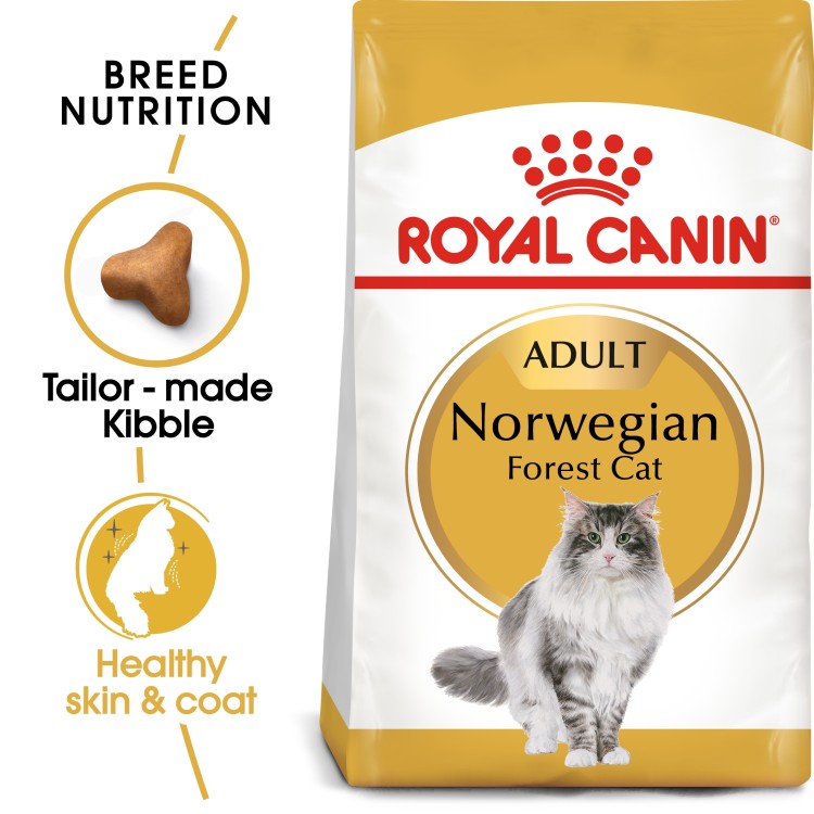 Royal Canin  Feline Breed Nutrition Norwegian Forest Cat Adult Dry Food 2 KG
