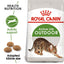 Royal Canin Feline Health Nutrition Outdoor Cat Dry Food 2 KG