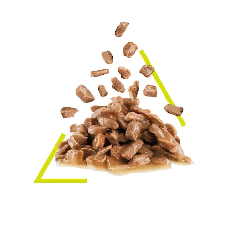 Feline Health Nutrition Sensory Smell Gravy (Cat Wet Food - Pouches)