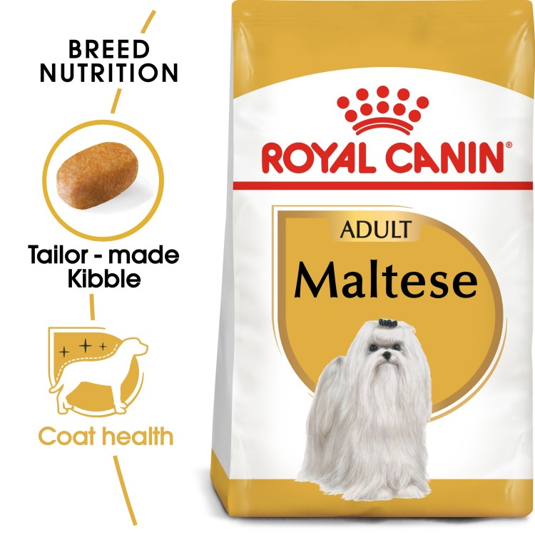 Royal Canin Breed Health Nutrition Maltese Adult Dry Dog Food 1.5 KG