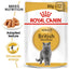 Royal Canin Feline Breed Nutrition British Shorthair (Cat WET FOOD - Pouches)