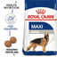 Royal Canin Size Health Nutrition Maxi Adult Dry Dog Food
