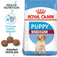 Royal Canin Size Health Nutrition Medium Puppy Dry Food