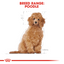 Breed Health Nutrition Poodle Puppy Dry Food - 3 kg
