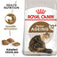 Royal Canin  Feline Health Nutrition Ageing 12 Years Cat Dry Food 2 KG