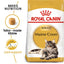 Royal Canin  Feline Breed Nutrition Maine Coon Adult Cat Dry Food 2 KG