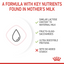Royal Canin Feline Health Nutrition Babycat Milk Cat Wet Food 300 g