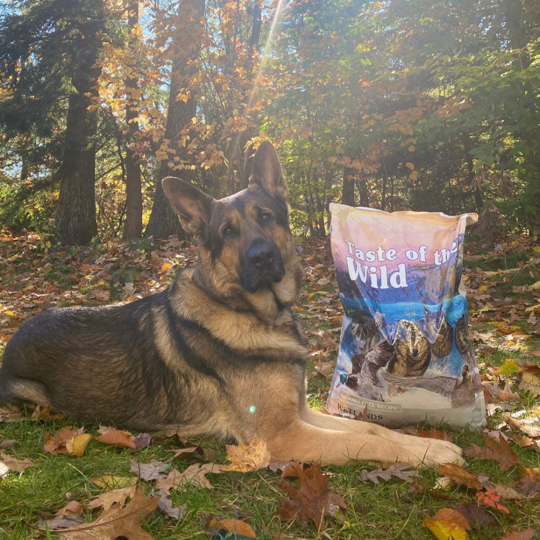 Wetlands Canine Recipe with Roasted Fowl