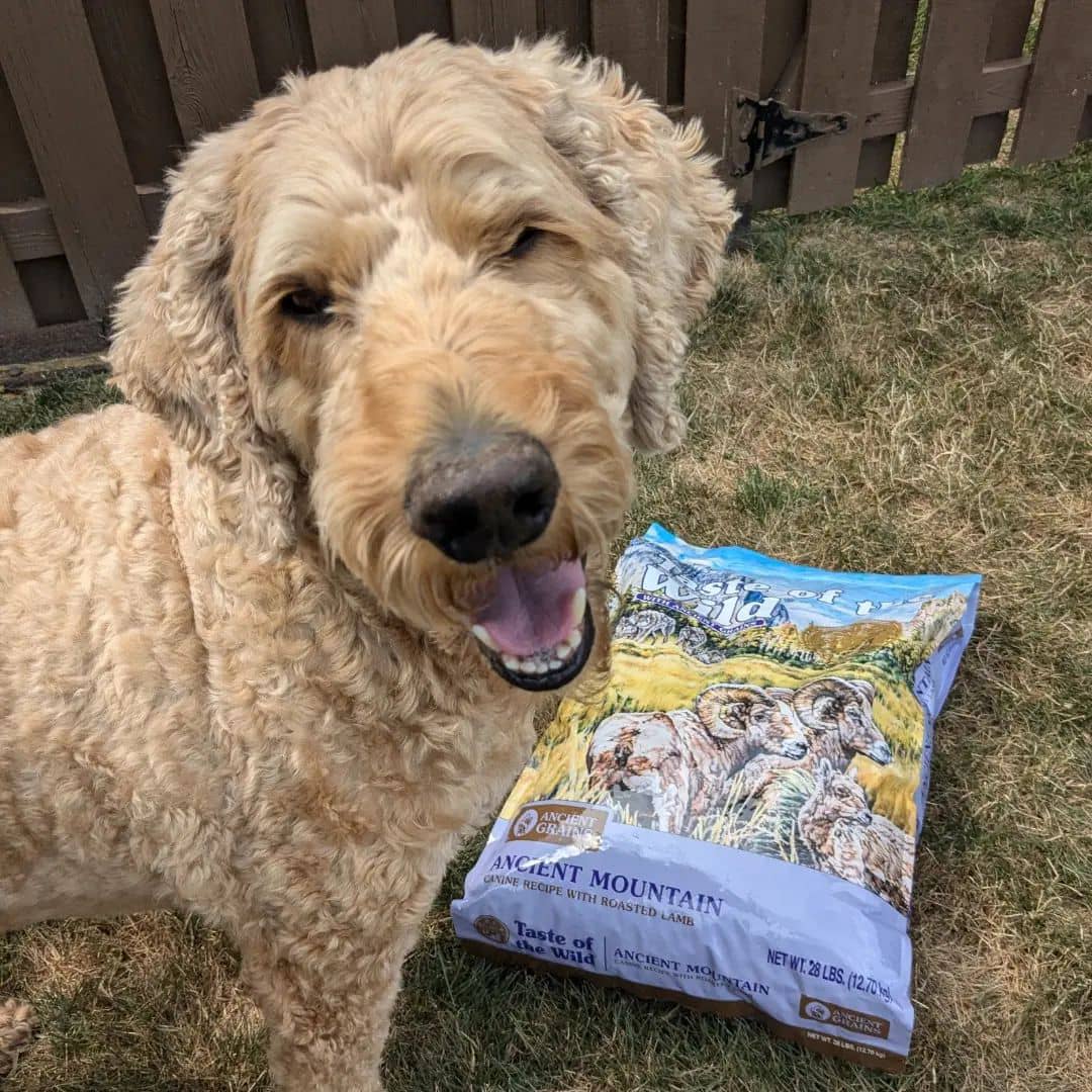 Taste Of Wild Ancient Mountain Canine Recipe - Lamb