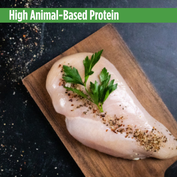 high animal based protein