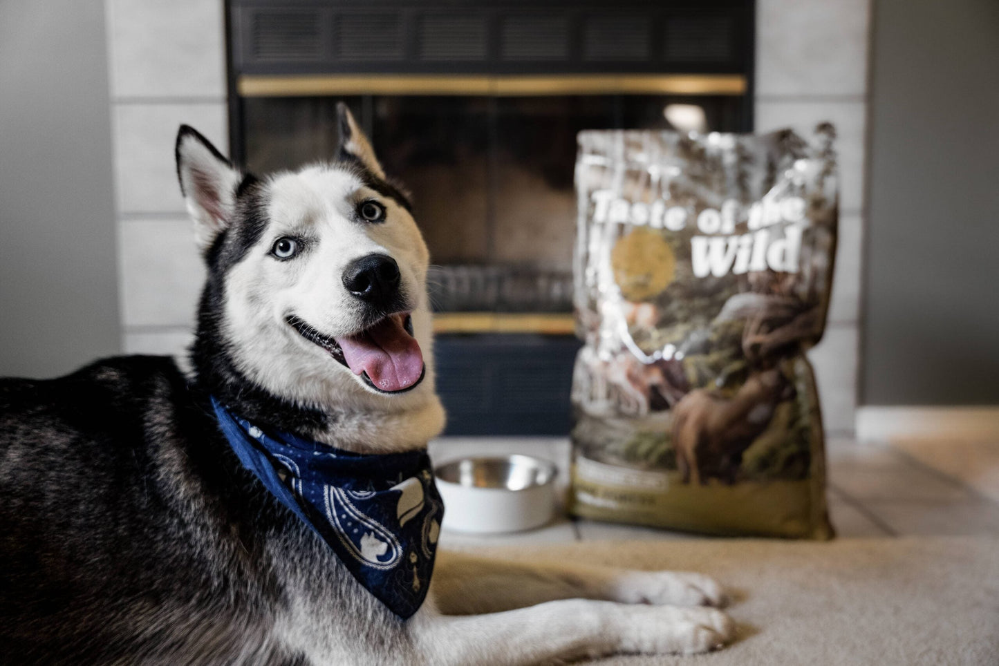 Taste Of Wild Pine Forest Canine Recipe with Venison & Legumes