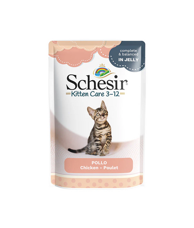Schesir Kitten Care 3-12 in Jelly Chicken Pouch 85g 