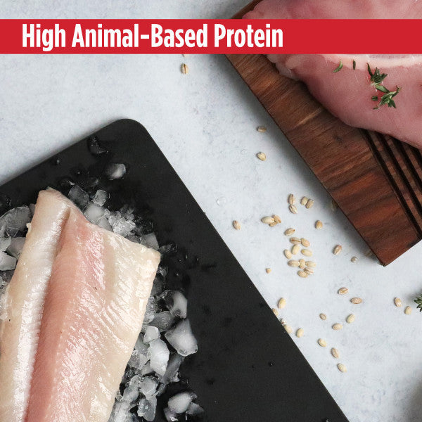 Nulo Digestive Health Adult Cat - Chicken & Whitefish 2kg Dry Cat Food