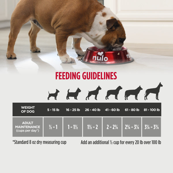 Nulo FreeStyle Adult Dog Turkey & Sweet Potato Dry Food