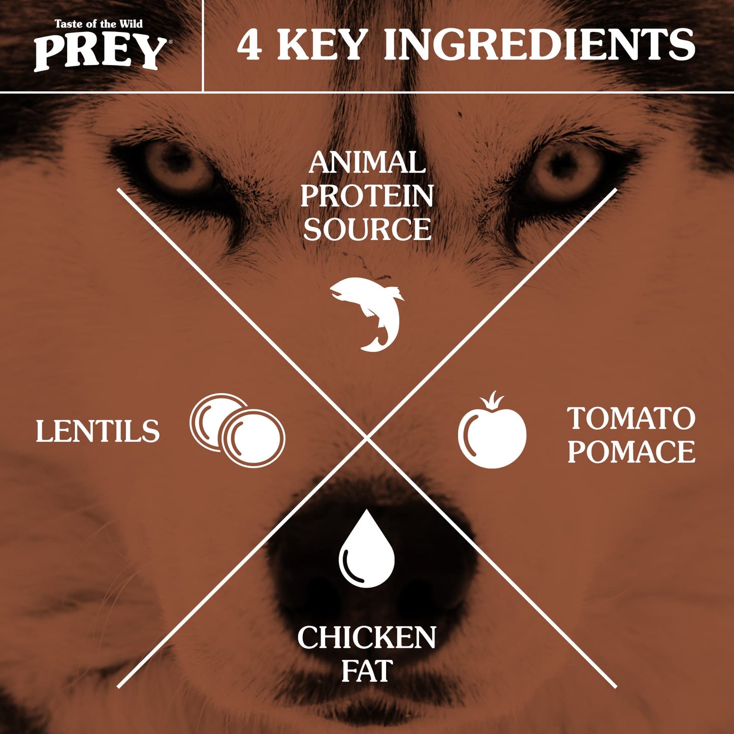 Taste Of Wild Prey Trout Formula for Dog with Limited Ingredients