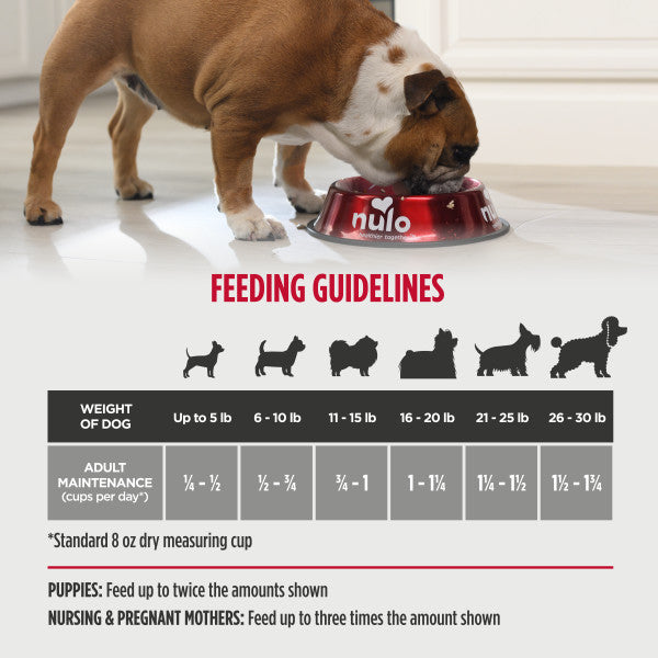 Nulo Frontrunner Small Breed Turkey, Whitefish & Quinoa 2.3 KG Bag Dog Dry Food