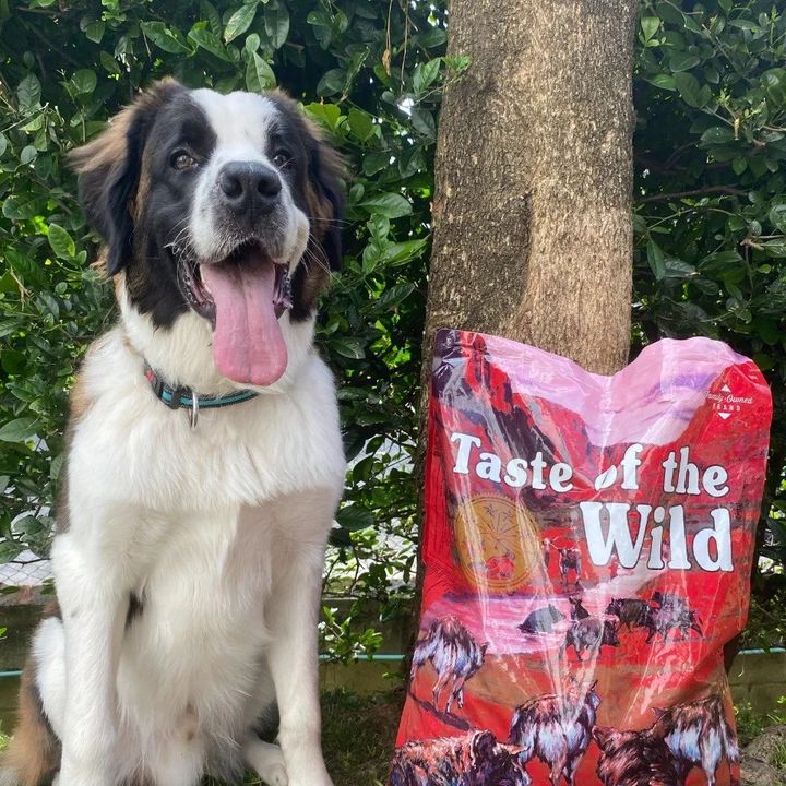 Taste Of Wild Southwest Canyon Canine Recipe with Wild Boar