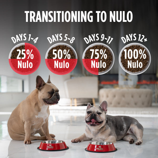 Nulo FreeStyle Adult Dog Grain-Free Lamb & Chickpeas with Probiotics Dry Dog Food