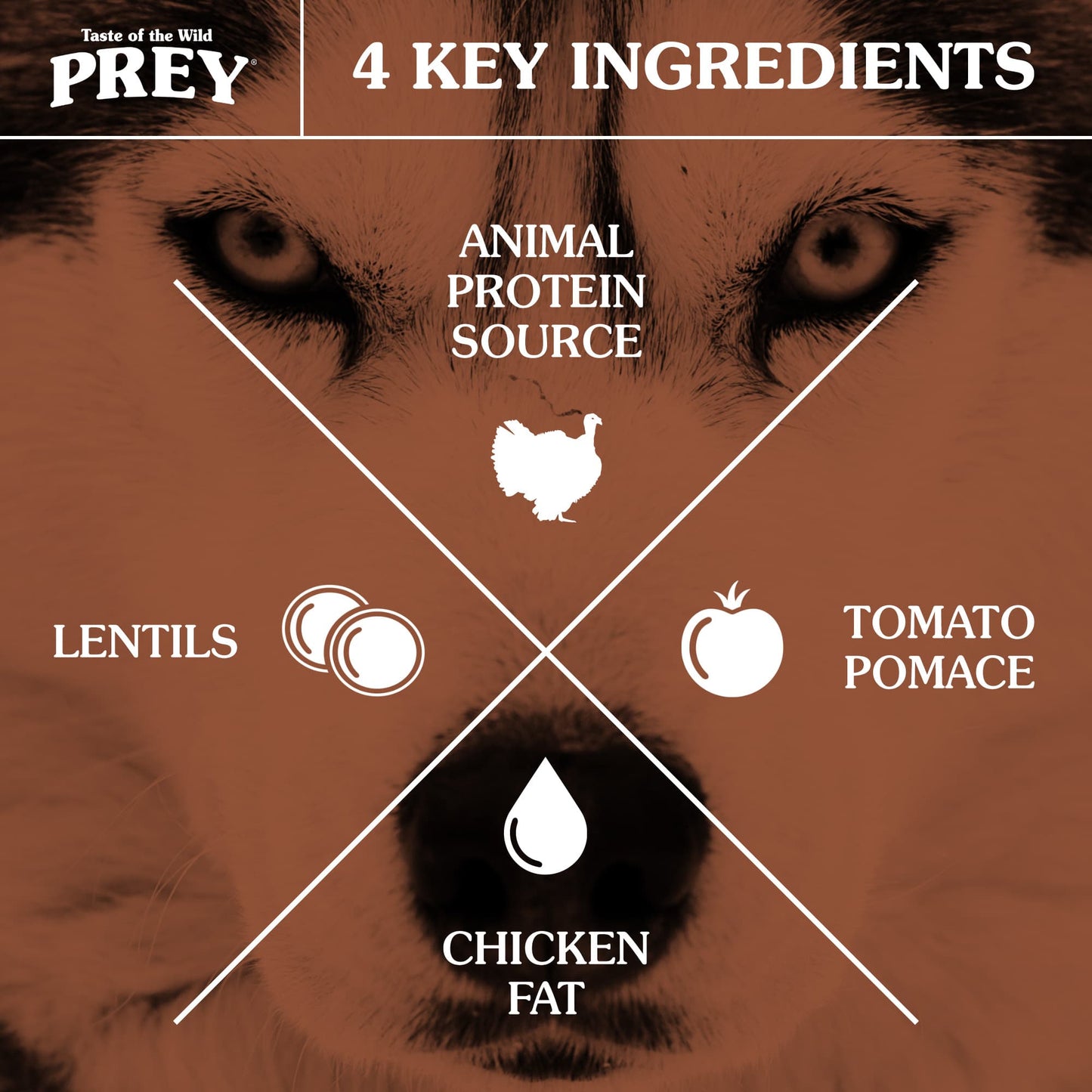 Taste Of Wild Prey Turkey Formula for Dog with Limited Ingredients