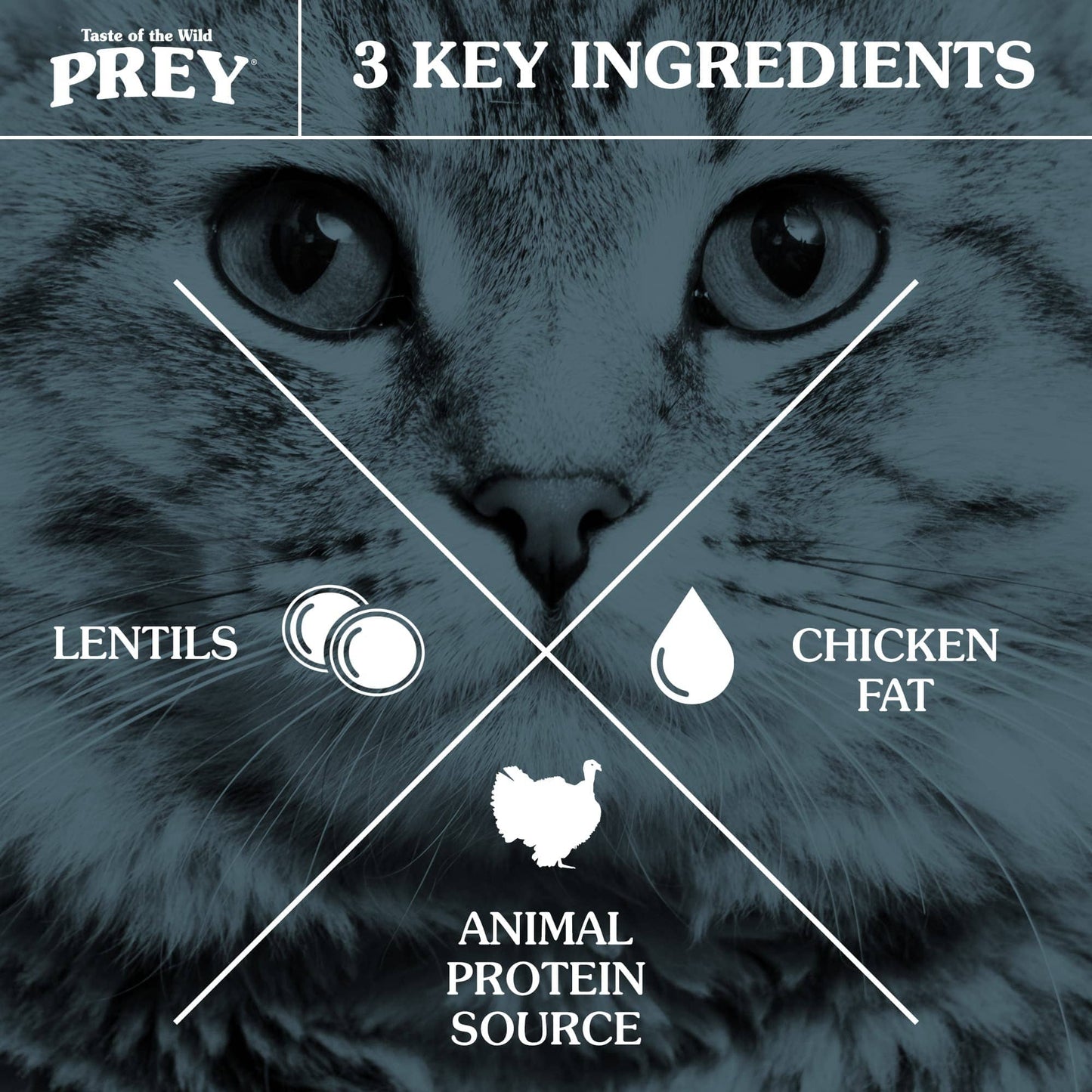 Taste Of Wild Prey Angus Beef Formula for Cat with Limited Ingredients